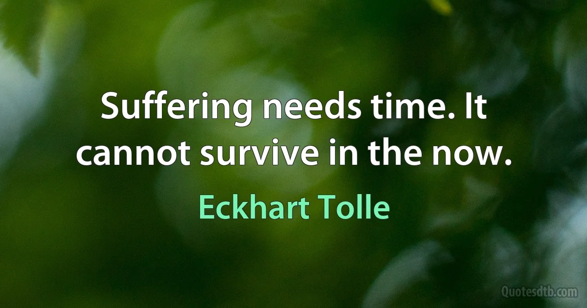 Suffering needs time. It cannot survive in the now. (Eckhart Tolle)