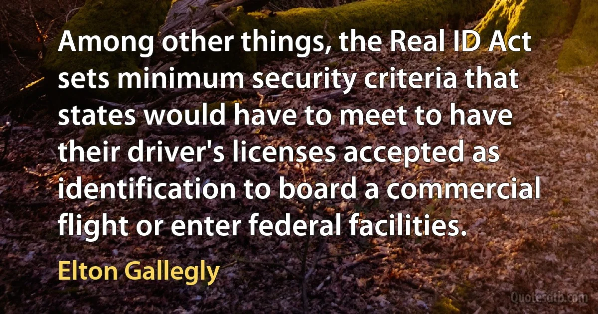 Among other things, the Real ID Act sets minimum security criteria that states would have to meet to have their driver's licenses accepted as identification to board a commercial flight or enter federal facilities. (Elton Gallegly)