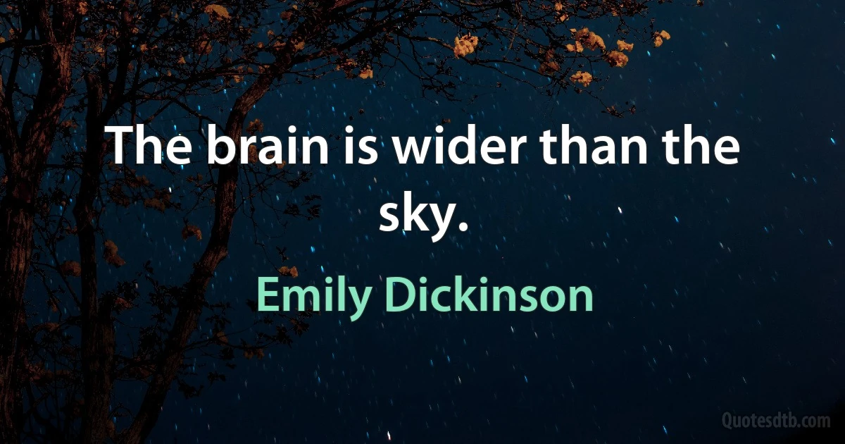 The brain is wider than the sky. (Emily Dickinson)