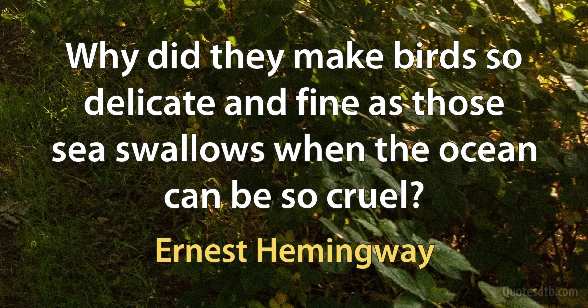 Why did they make birds so delicate and fine as those sea swallows when the ocean can be so cruel? (Ernest Hemingway)