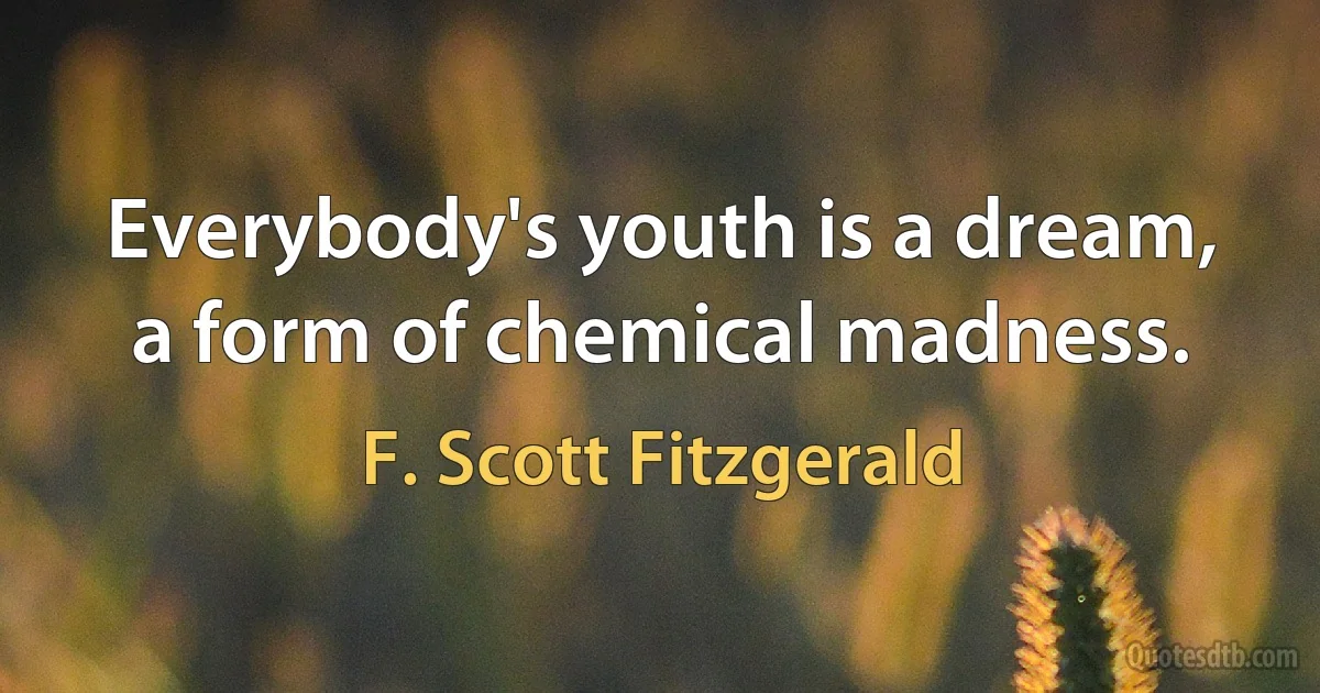 Everybody's youth is a dream, a form of chemical madness. (F. Scott Fitzgerald)