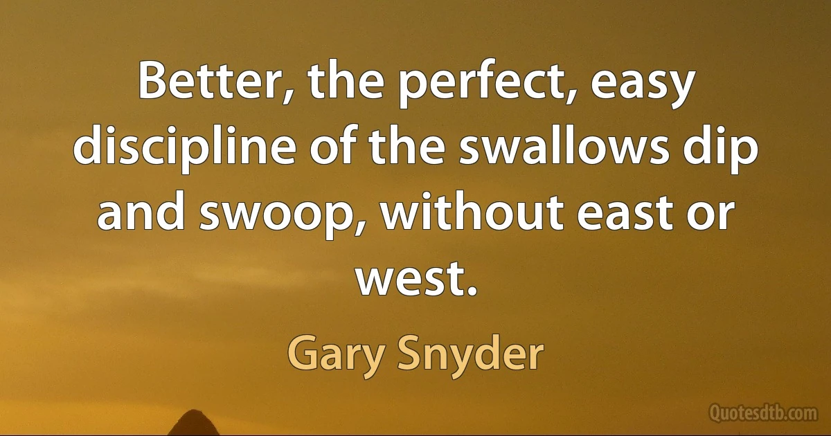 Better, the perfect, easy discipline of the swallows dip and swoop, without east or west. (Gary Snyder)