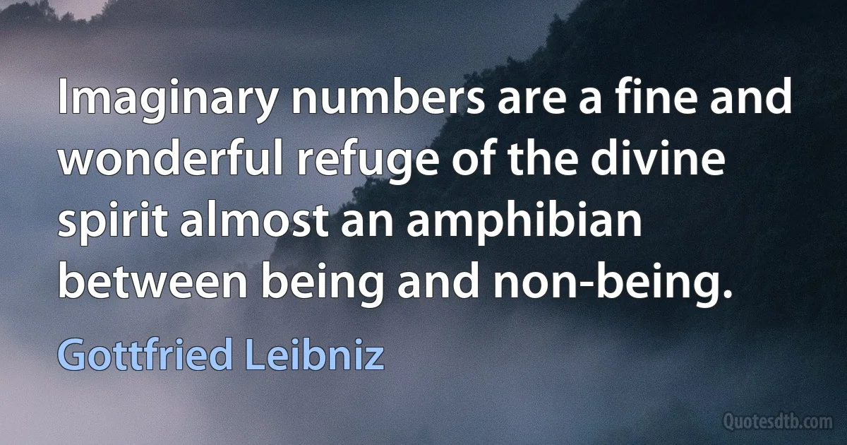 Imaginary numbers are a fine and wonderful refuge of the divine spirit almost an amphibian between being and non-being. (Gottfried Leibniz)