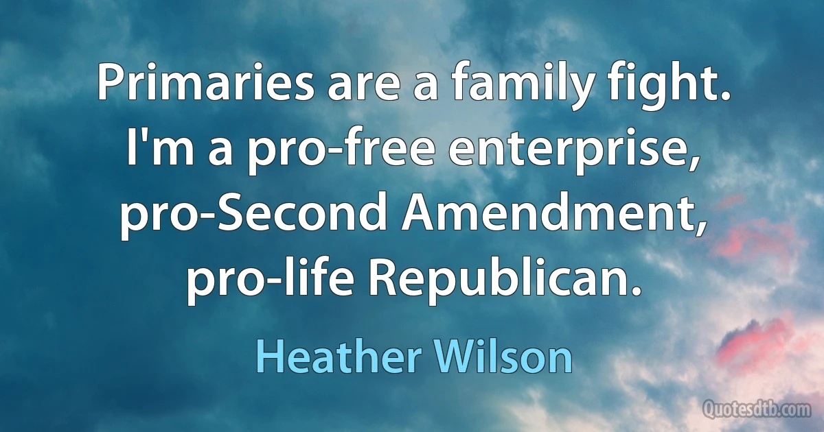 Primaries are a family fight. I'm a pro-free enterprise, pro-Second Amendment, pro-life Republican. (Heather Wilson)