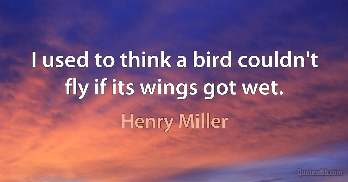 I used to think a bird couldn't fly if its wings got wet. (Henry Miller)