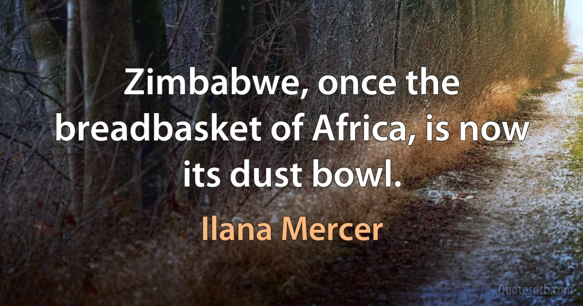 Zimbabwe, once the breadbasket of Africa, is now its dust bowl. (Ilana Mercer)