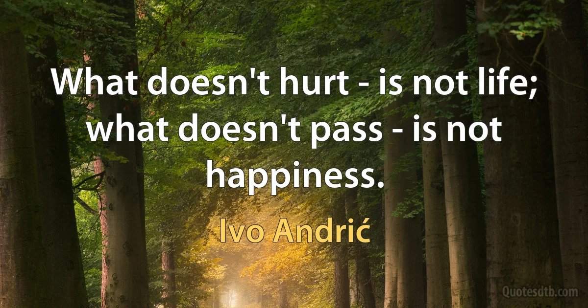 What doesn't hurt - is not life; what doesn't pass - is not happiness. (Ivo Andrić)