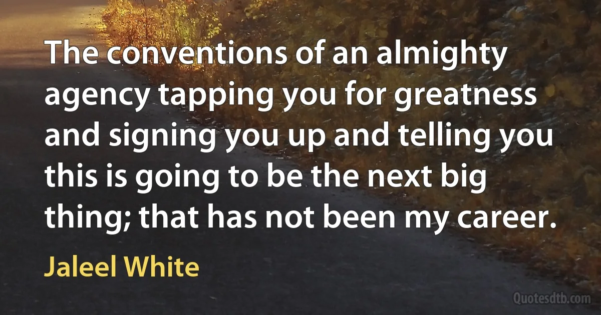 The conventions of an almighty agency tapping you for greatness and signing you up and telling you this is going to be the next big thing; that has not been my career. (Jaleel White)