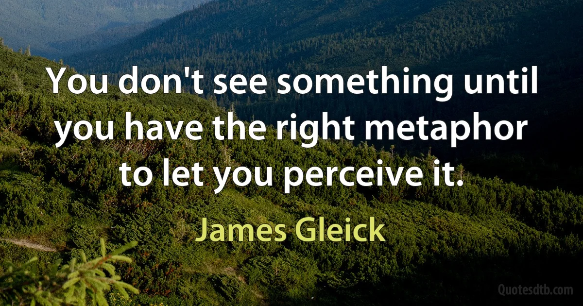 You don't see something until you have the right metaphor to let you perceive it. (James Gleick)