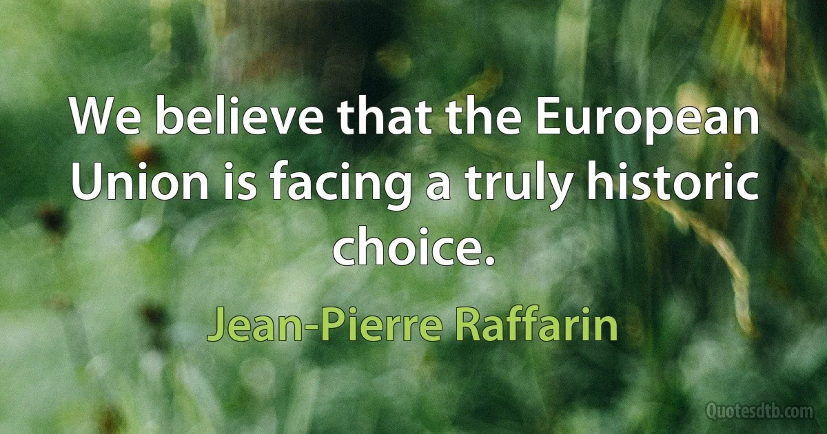 We believe that the European Union is facing a truly historic choice. (Jean-Pierre Raffarin)