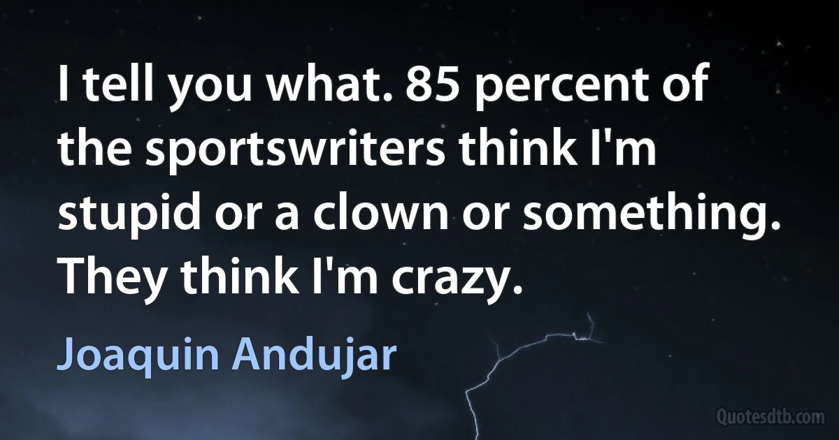 I tell you what. 85 percent of the sportswriters think I'm stupid or a clown or something. They think I'm crazy. (Joaquin Andujar)