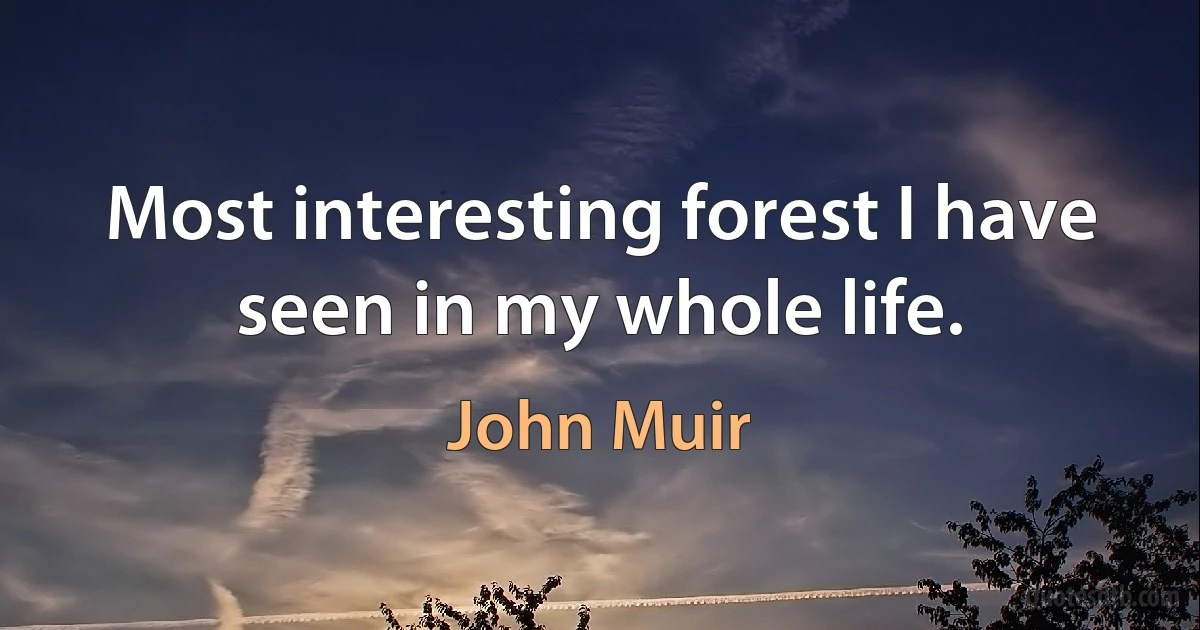 Most interesting forest I have seen in my whole life. (John Muir)