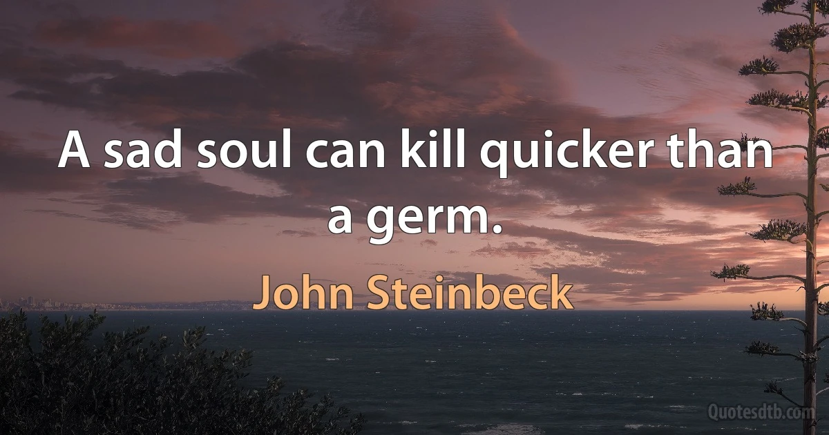 A sad soul can kill quicker than a germ. (John Steinbeck)