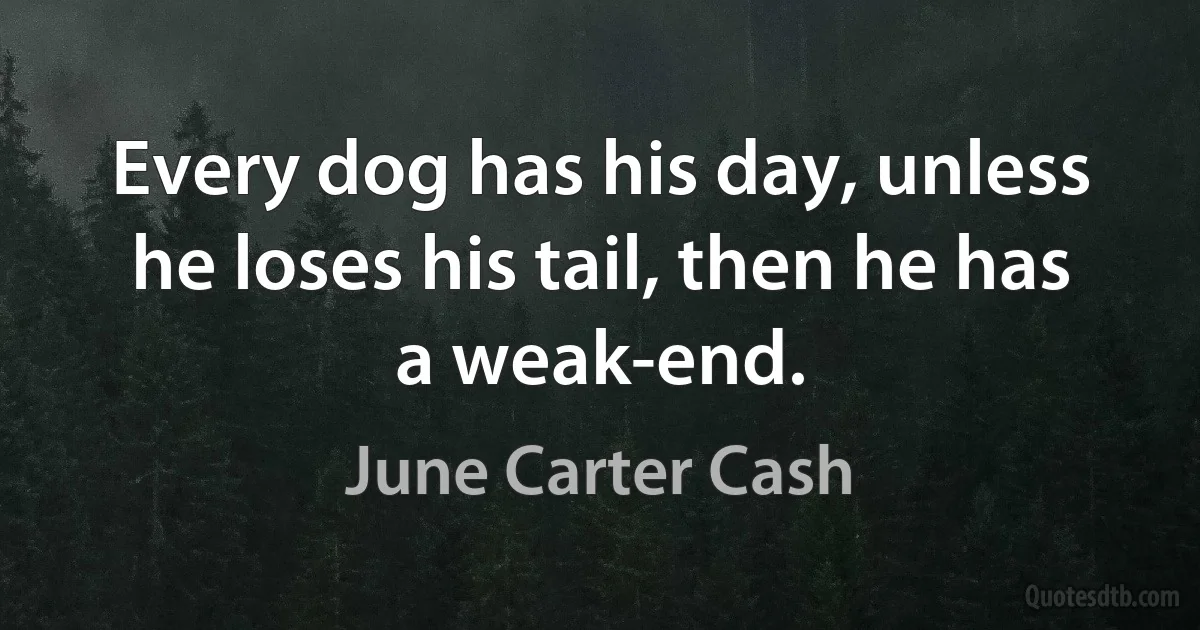 Every dog has his day, unless he loses his tail, then he has a weak-end. (June Carter Cash)