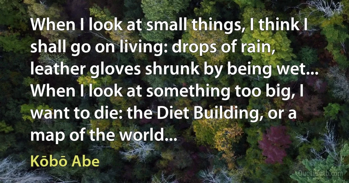 When I look at small things, I think I shall go on living: drops of rain, leather gloves shrunk by being wet... When I look at something too big, I want to die: the Diet Building, or a map of the world... (Kōbō Abe)