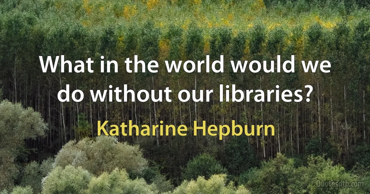 What in the world would we do without our libraries? (Katharine Hepburn)