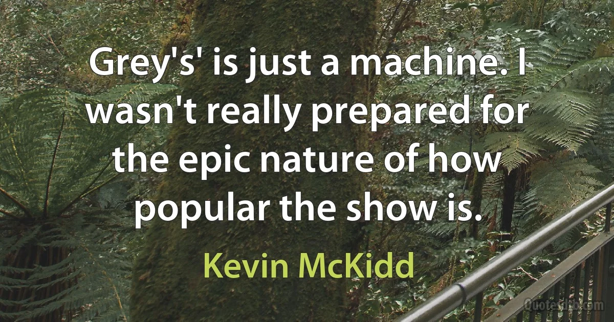 Grey's' is just a machine. I wasn't really prepared for the epic nature of how popular the show is. (Kevin McKidd)