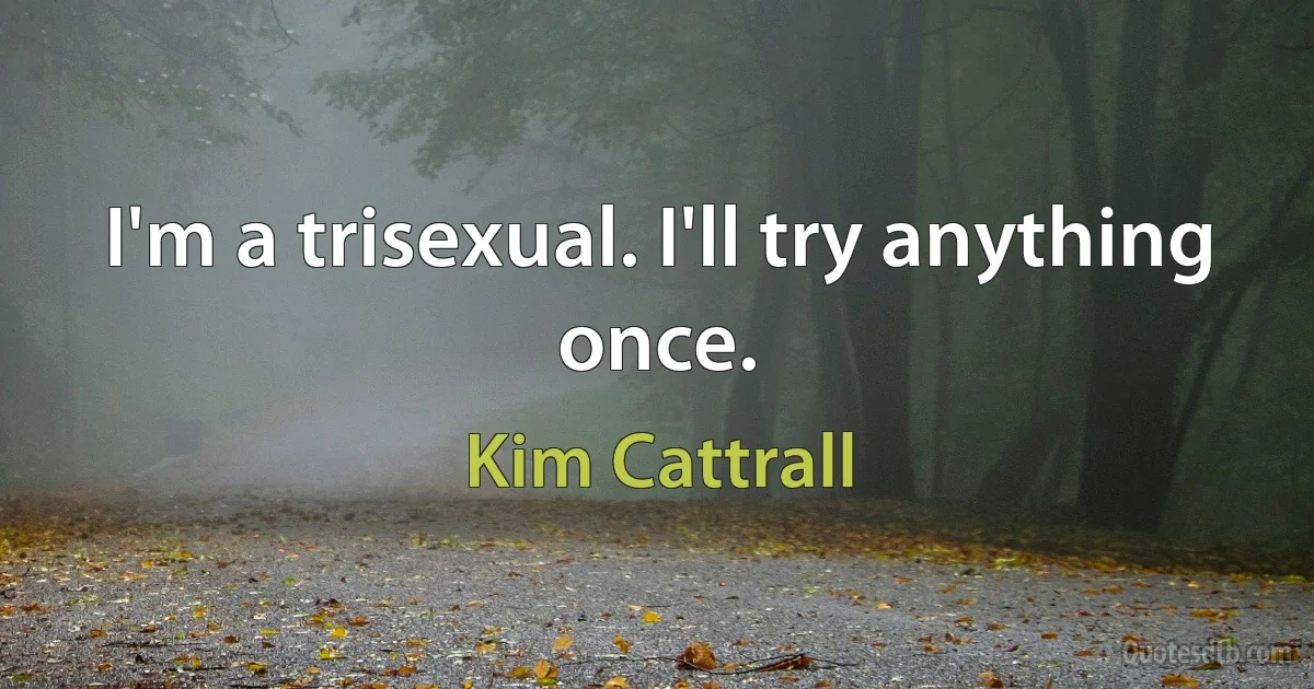 I'm a trisexual. I'll try anything once. (Kim Cattrall)