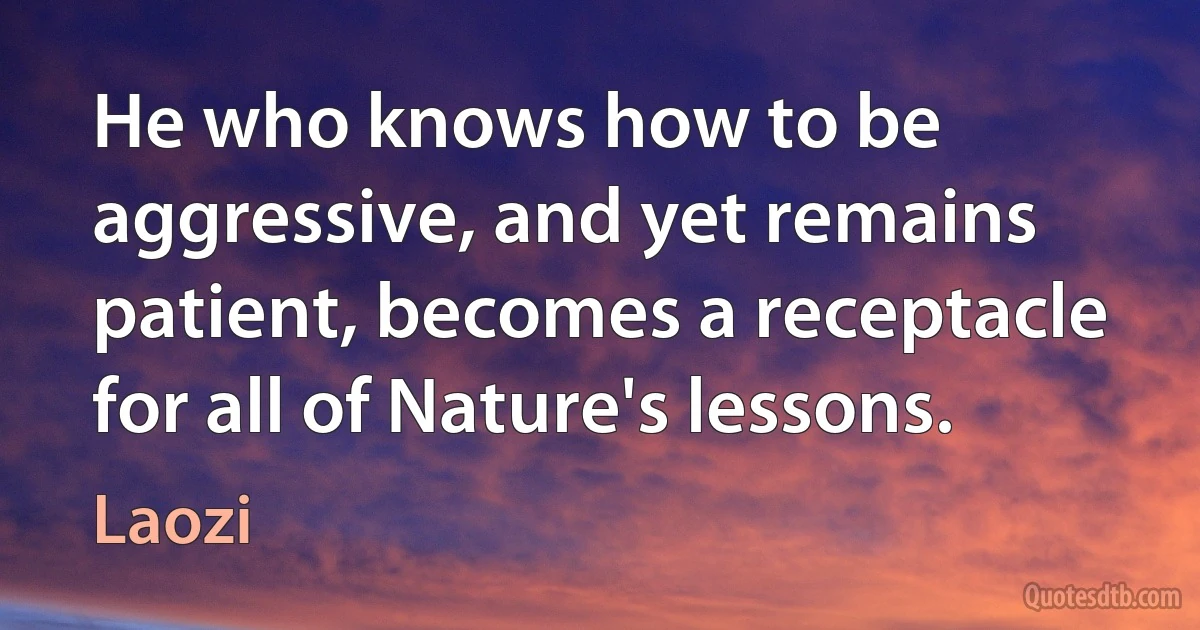 He who knows how to be aggressive, and yet remains patient, becomes a receptacle for all of Nature's lessons. (Laozi)