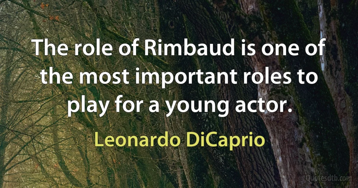 The role of Rimbaud is one of the most important roles to play for a young actor. (Leonardo DiCaprio)