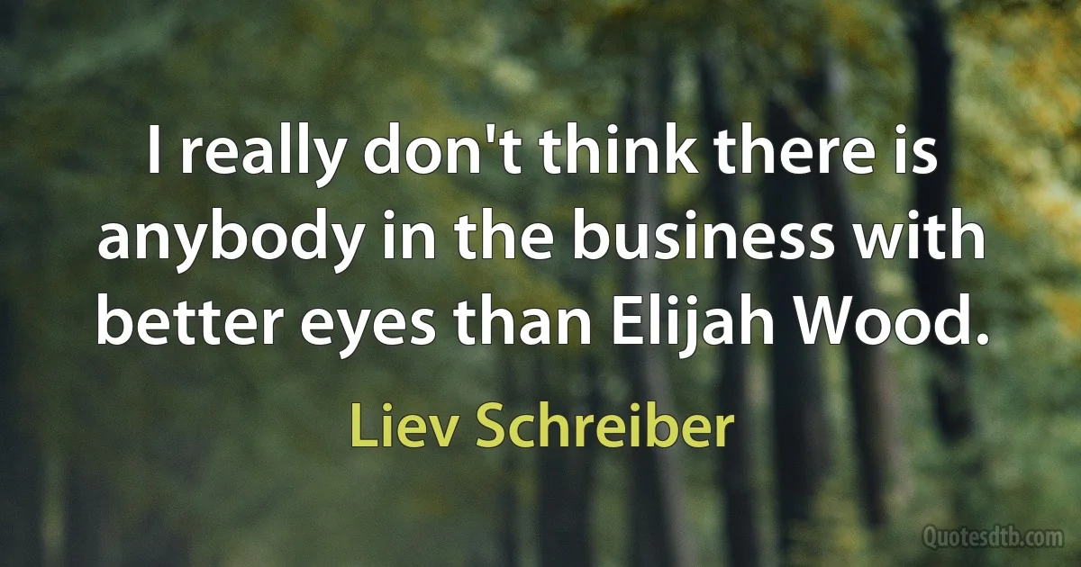 I really don't think there is anybody in the business with better eyes than Elijah Wood. (Liev Schreiber)