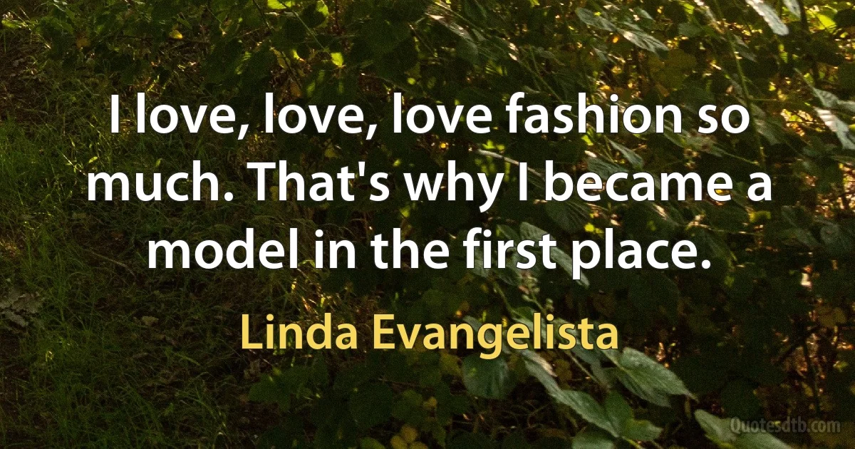 I love, love, love fashion so much. That's why I became a model in the first place. (Linda Evangelista)