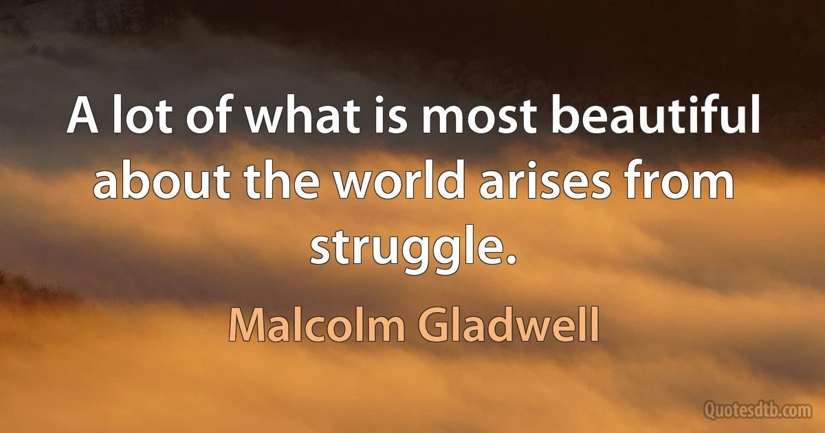 A lot of what is most beautiful about the world arises from struggle. (Malcolm Gladwell)