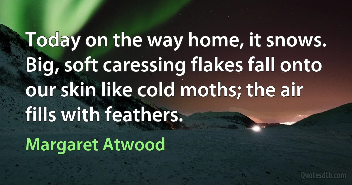 Today on the way home, it snows. Big, soft caressing flakes fall onto our skin like cold moths; the air fills with feathers. (Margaret Atwood)