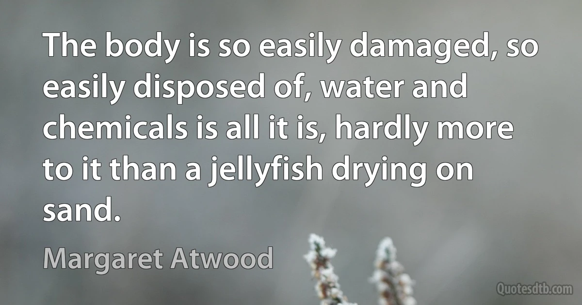 The body is so easily damaged, so easily disposed of, water and chemicals is all it is, hardly more to it than a jellyfish drying on sand. (Margaret Atwood)