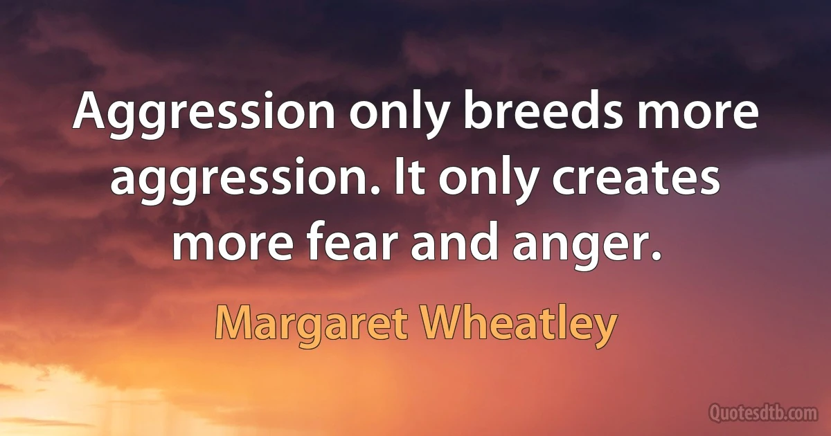 Aggression only breeds more aggression. It only creates more fear and anger. (Margaret Wheatley)