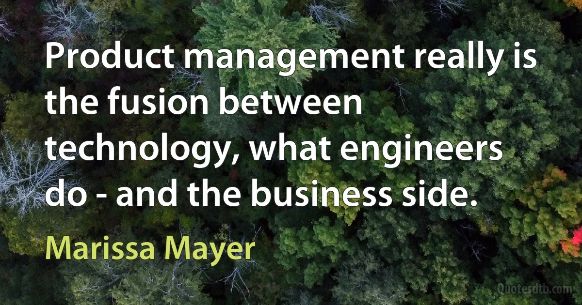 Product management really is the fusion between technology, what engineers do - and the business side. (Marissa Mayer)