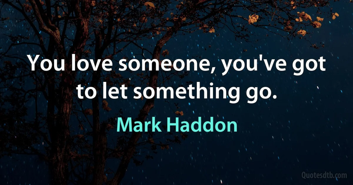 You love someone, you've got to let something go. (Mark Haddon)