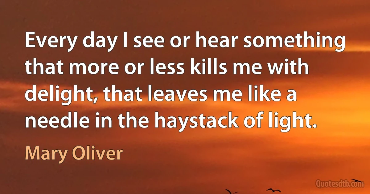 Every day I see or hear something that more or less kills me with delight, that leaves me like a needle in the haystack of light. (Mary Oliver)