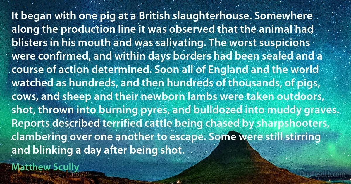 It began with one pig at a British slaughterhouse. Somewhere along the production line it was observed that the animal had blisters in his mouth and was salivating. The worst suspicions were confirmed, and within days borders had been sealed and a course of action determined. Soon all of England and the world watched as hundreds, and then hundreds of thousands, of pigs, cows, and sheep and their newborn lambs were taken outdoors, shot, thrown into burning pyres, and bulldozed into muddy graves. Reports described terrified cattle being chased by sharpshooters, clambering over one another to escape. Some were still stirring and blinking a day after being shot. (Matthew Scully)