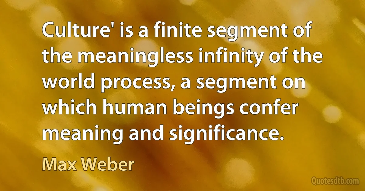 Culture' is a finite segment of the meaningless infinity of the world process, a segment on which human beings confer meaning and significance. (Max Weber)