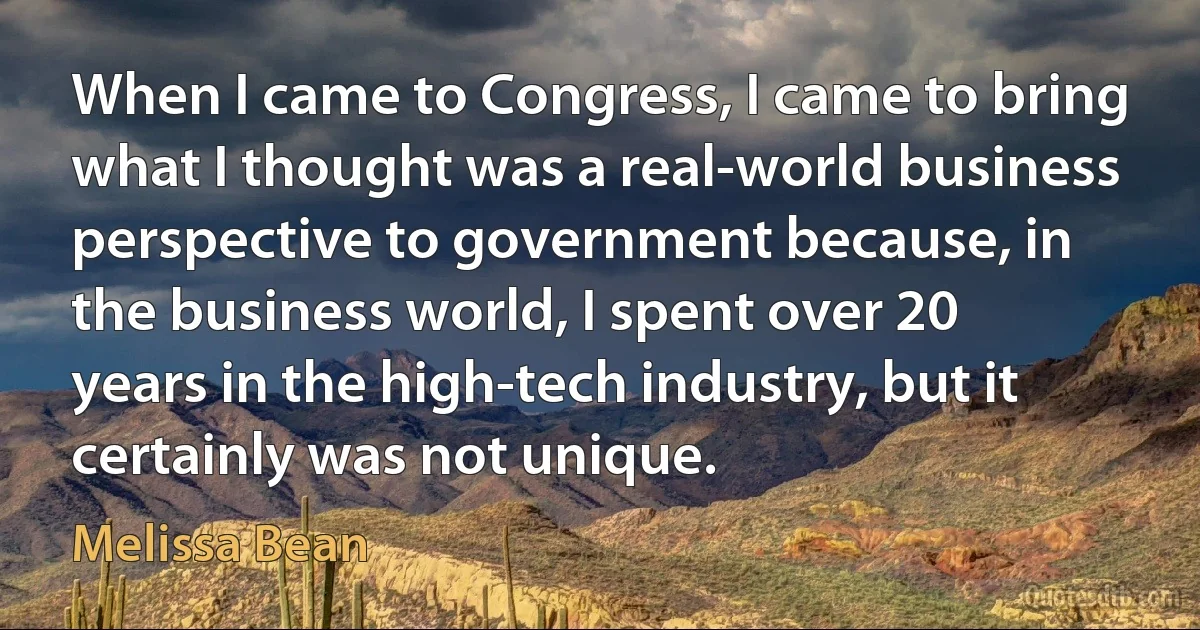 When I came to Congress, I came to bring what I thought was a real-world business perspective to government because, in the business world, I spent over 20 years in the high-tech industry, but it certainly was not unique. (Melissa Bean)