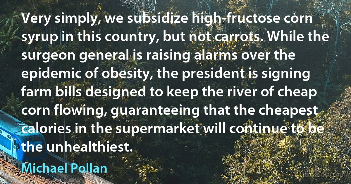 Very simply, we subsidize high-fructose corn syrup in this country, but not carrots. While the surgeon general is raising alarms over the epidemic of obesity, the president is signing farm bills designed to keep the river of cheap corn flowing, guaranteeing that the cheapest calories in the supermarket will continue to be the unhealthiest. (Michael Pollan)