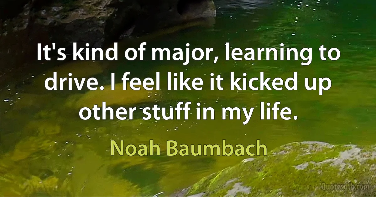 It's kind of major, learning to drive. I feel like it kicked up other stuff in my life. (Noah Baumbach)