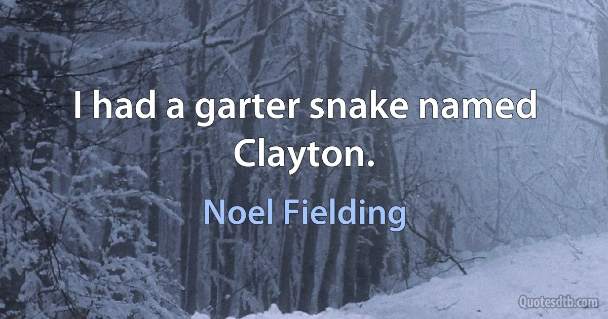 I had a garter snake named Clayton. (Noel Fielding)