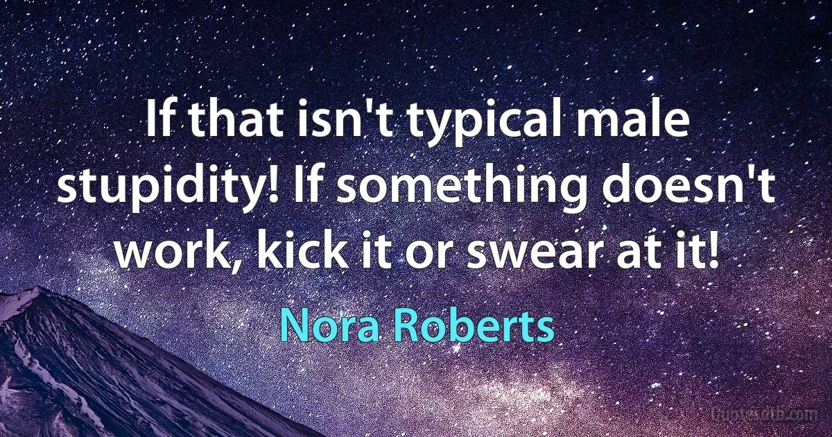 If that isn't typical male stupidity! If something doesn't work, kick it or swear at it! (Nora Roberts)