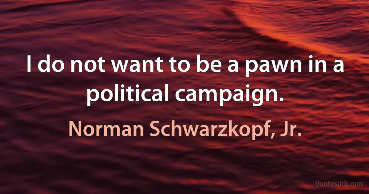 I do not want to be a pawn in a political campaign. (Norman Schwarzkopf, Jr.)