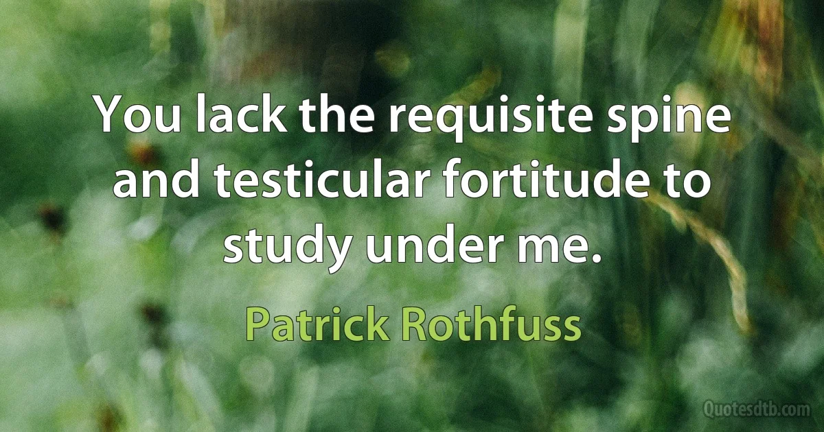 You lack the requisite spine and testicular fortitude to study under me. (Patrick Rothfuss)