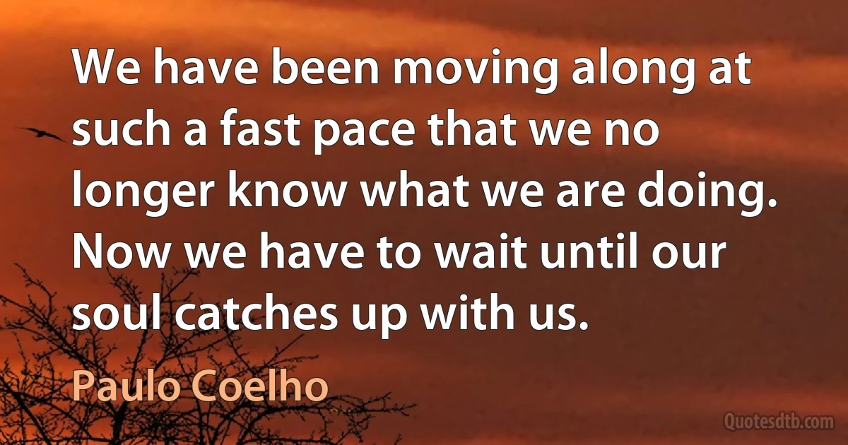 We have been moving along at such a fast pace that we no longer know what we are doing. Now we have to wait until our soul catches up with us. (Paulo Coelho)