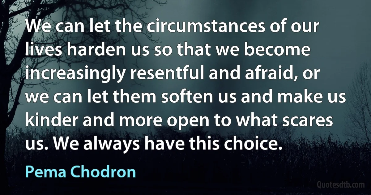 We can let the circumstances of our lives harden us so that we become increasingly resentful and afraid, or we can let them soften us and make us kinder and more open to what scares us. We always have this choice. (Pema Chodron)