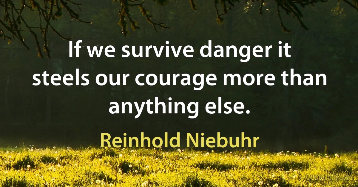 If we survive danger it steels our courage more than anything else. (Reinhold Niebuhr)