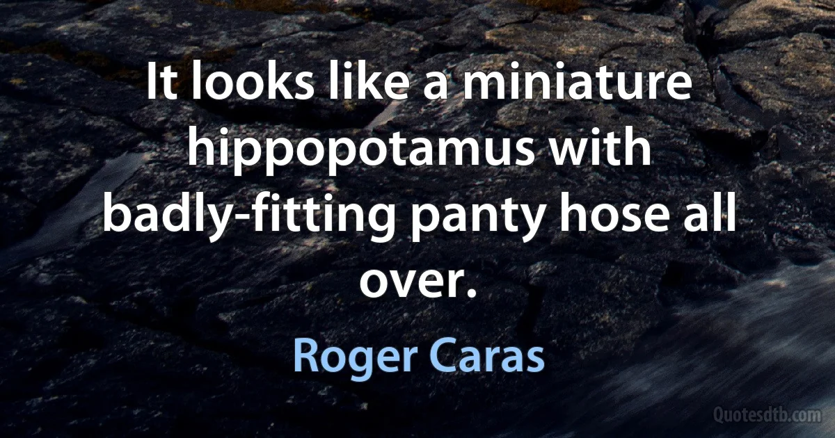 It looks like a miniature hippopotamus with badly-fitting panty hose all over. (Roger Caras)