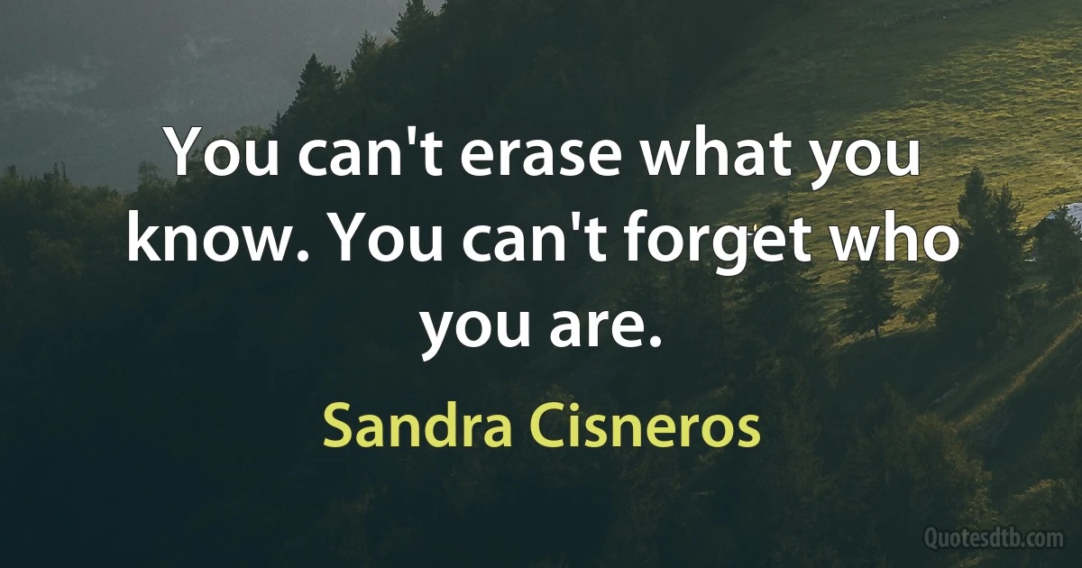 You can't erase what you know. You can't forget who you are. (Sandra Cisneros)