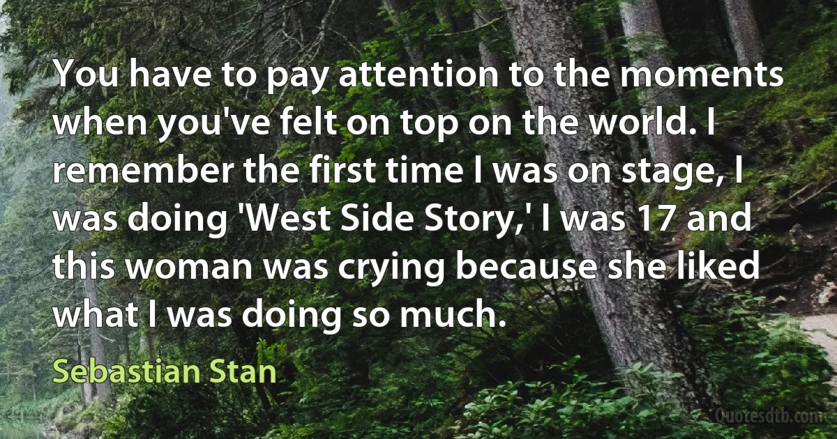 You have to pay attention to the moments when you've felt on top on the world. I remember the first time I was on stage, I was doing 'West Side Story,' I was 17 and this woman was crying because she liked what I was doing so much. (Sebastian Stan)