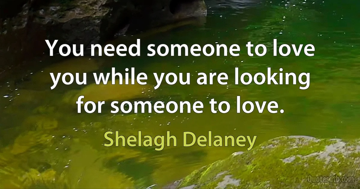 You need someone to love you while you are looking for someone to love. (Shelagh Delaney)