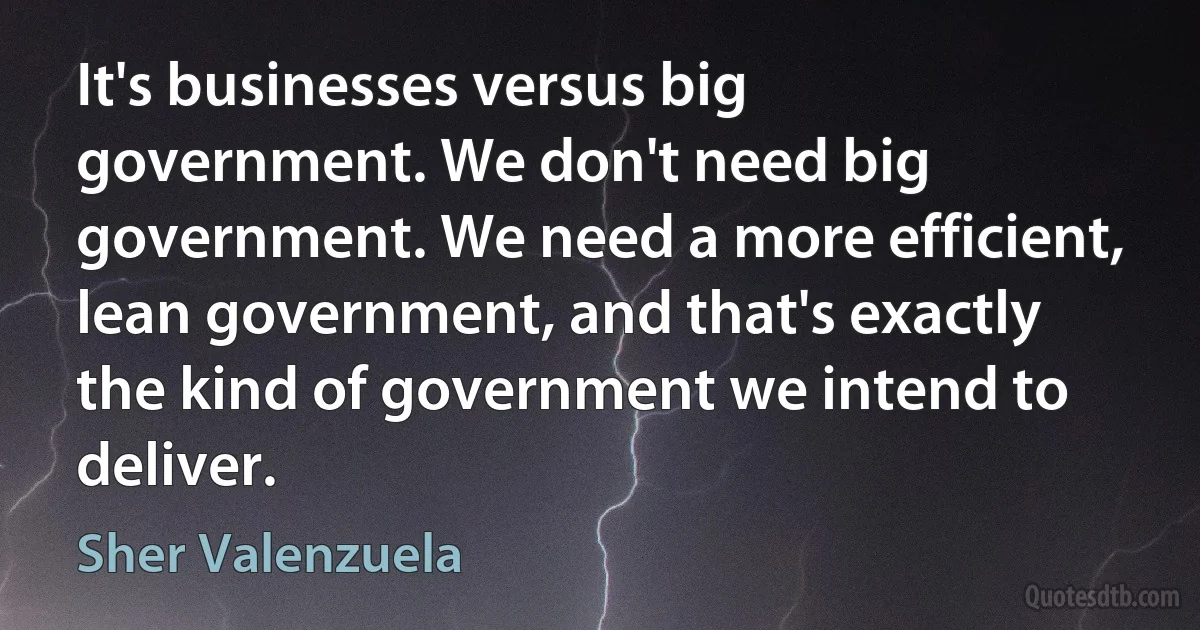 It's businesses versus big government. We don't need big government. We need a more efficient, lean government, and that's exactly the kind of government we intend to deliver. (Sher Valenzuela)